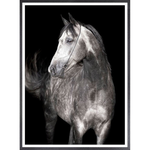 arabian-cheval-noir-cadre-erik-maille-design