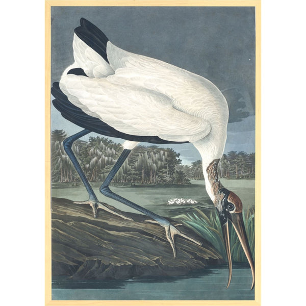 bois d'ibis toile d'art oiseau sombre cadre bois blond Maillé style