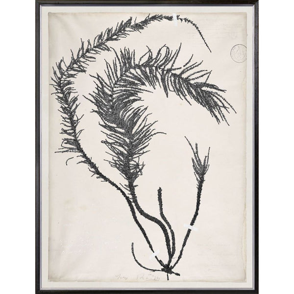 le cadre Flora I antique feuillage Maillé style