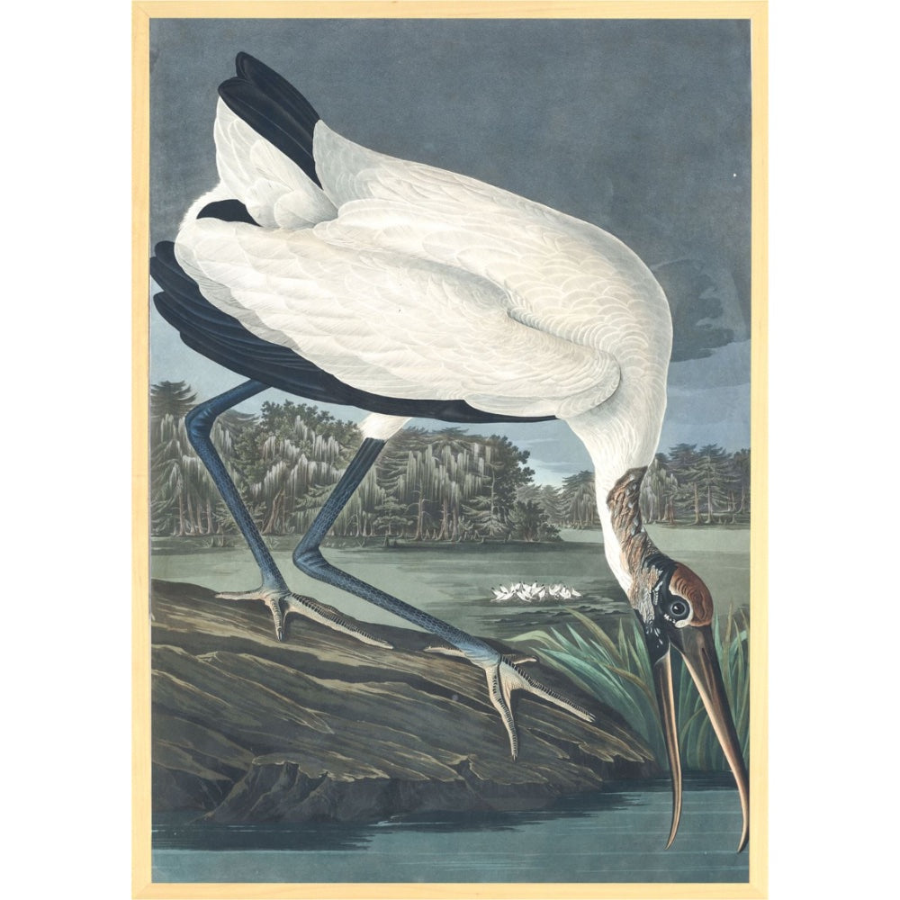 bois d'ibis toile d'art oiseau sombre cadre bois blond Maillé style